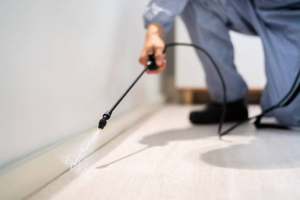 Bed Bug Pre-Treatment Preparation Assessment in Rockvale