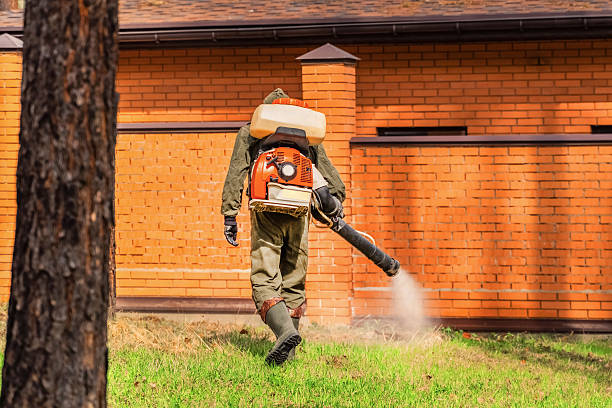 Bed Bug Clearance Verification and Documentation in Rockvale